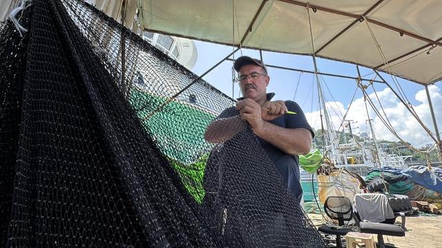 Balıkçılar yeni sezonda palamuttan umutlu 2