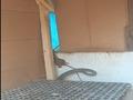2,5 metrelik y�lan, k�mese giren fareyi yakalad�