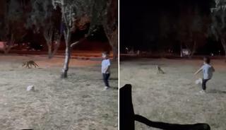&Ccedil;anakkale&rsquo;de minik &ccedil;ocuğun topunu tilki b&ouml;yle &ccedil;aldı