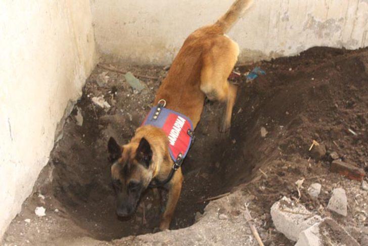 Leyla 13’üncü günde aranıyor!   G5