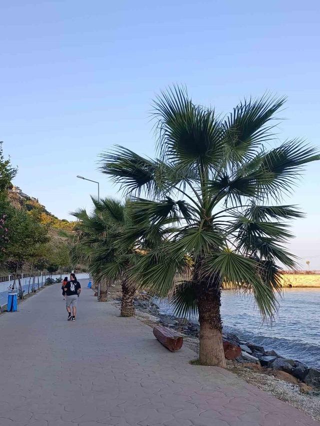 Tekirdağ&rsquo;da poyraz ağa&ccedil;ları devirdi 6