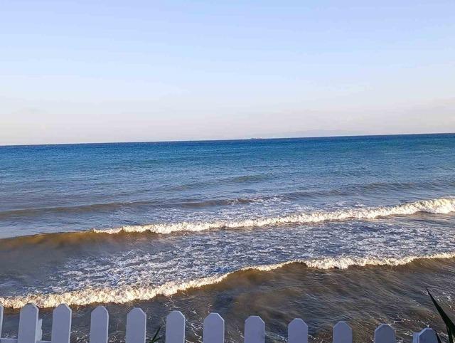 Tekirdağ&rsquo;da poyraz ağa&ccedil;ları devirdi 2