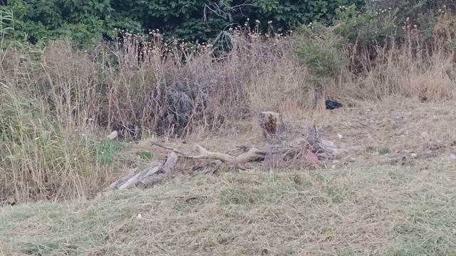 Tekirdağ&rsquo;da poyraz ağa&ccedil;ları devirdi 1