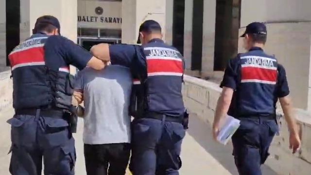 Edremit’teki orman yangını ile ilgili yeni gelişme! Tutuklandı