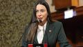 '�apkal�lar' su� �rg�t� dosyas�... CHP'li �im�ek tutukland�