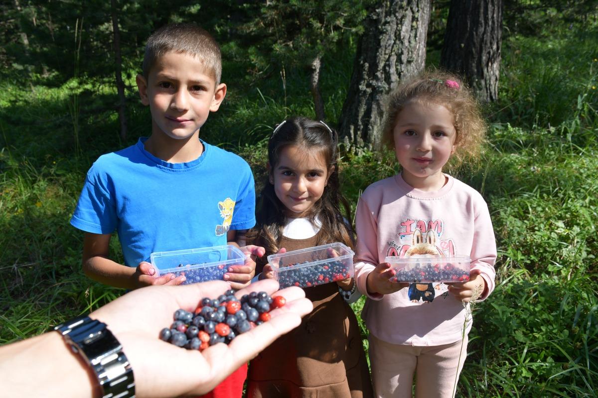 Kışın karla kaplanıyor, yazın meyveyle doluyor! Vatandaşlar toplamak için akın ediyor 1