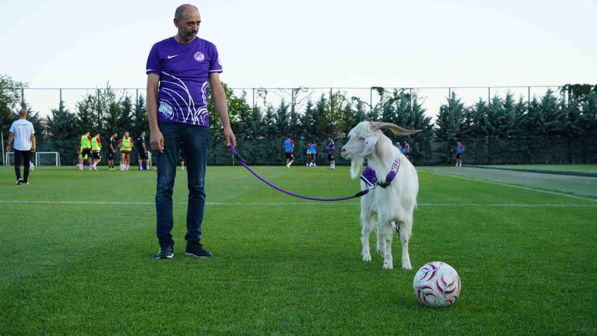 Keçiörengücü’nün maskotu Tiftik maça çıkmaya hazırlanıyor 4