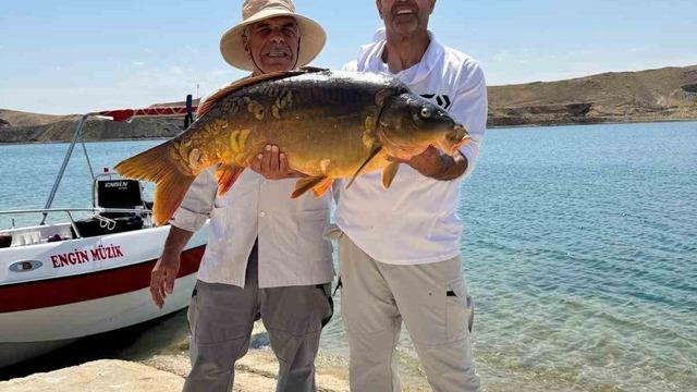 Keban Baraj Gölü’nde 27 kiloluk dev sazan yakalandı