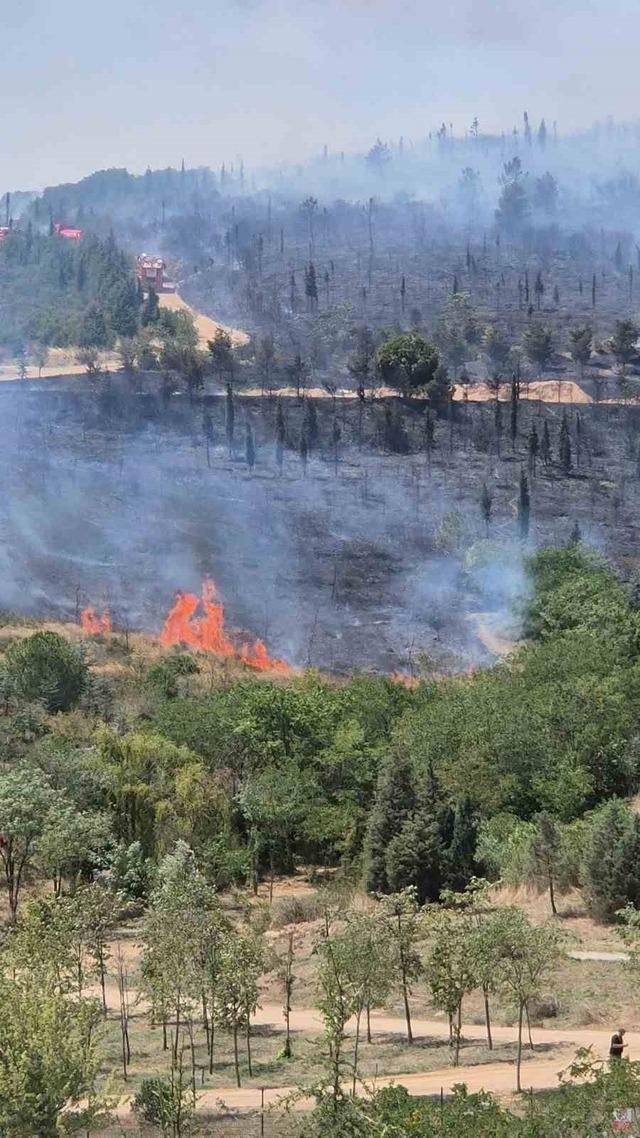 Kocaeli’deki orman yangını havadan ve karadan müdahaleyle söndürüldü 5
