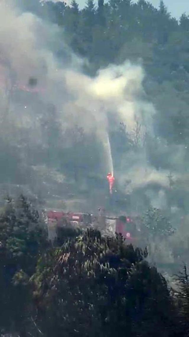 Kocaeli’deki orman yangını havadan ve karadan müdahaleyle söndürüldü 3