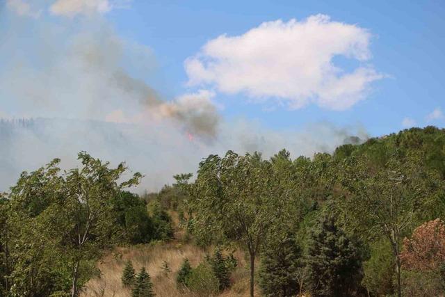 Kocaeli’deki orman yangını havadan ve karadan müdahaleyle söndürüldü 1