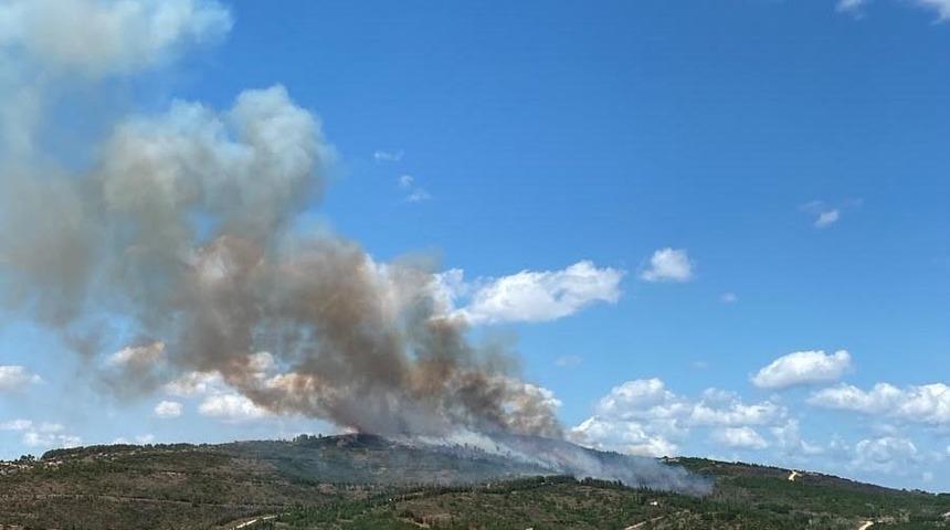 Kocaeli&rsquo;deki orman yangını havadan ve karadan m&uuml;dahaleyle s&ouml;nd&uuml;r&uuml;ld&uuml;