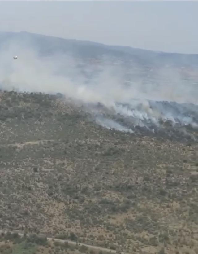 Altıeyl&uuml;l ve Sındırgı&rsquo;da orman yangını başladı 1