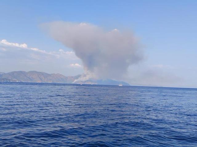 Marmaris'te korkutan orman yangını