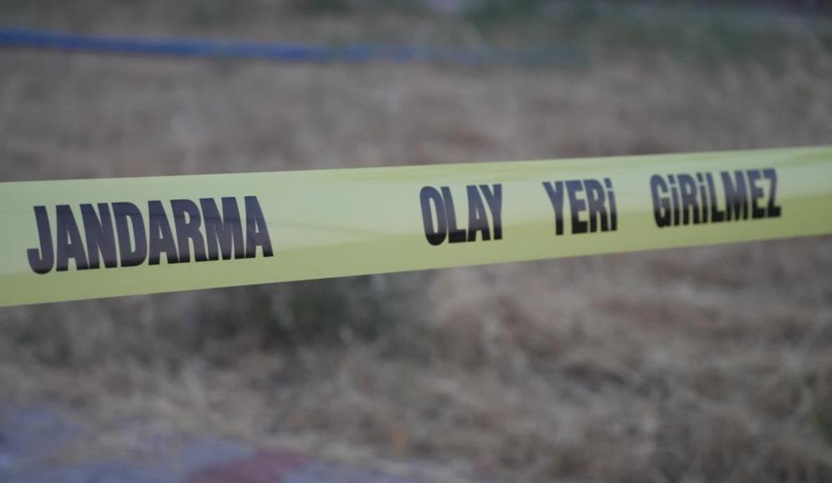 Köpeklerin kavgasına sinirlendi, çobanı öldürdü: Baba ile oğlu tutuklandı 1