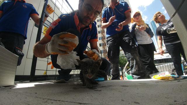 Boruya sıkışan yavru kedi, 5 saatte kurtarıldı