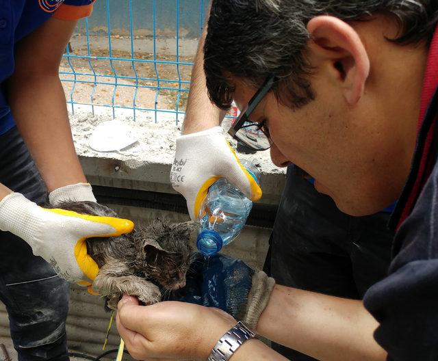 Boruya sıkışan yavru kedi, 5 saatte kurtarıldı