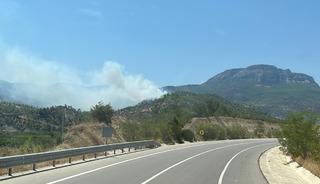 Mersin'de orman yangını! Kontrol altına alındı
