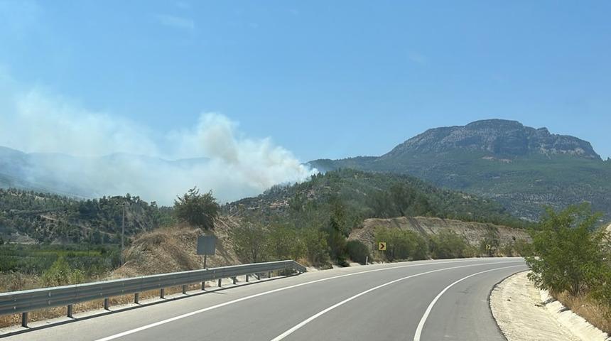 Mersin'de orman yangını! Kontrol altına alındı