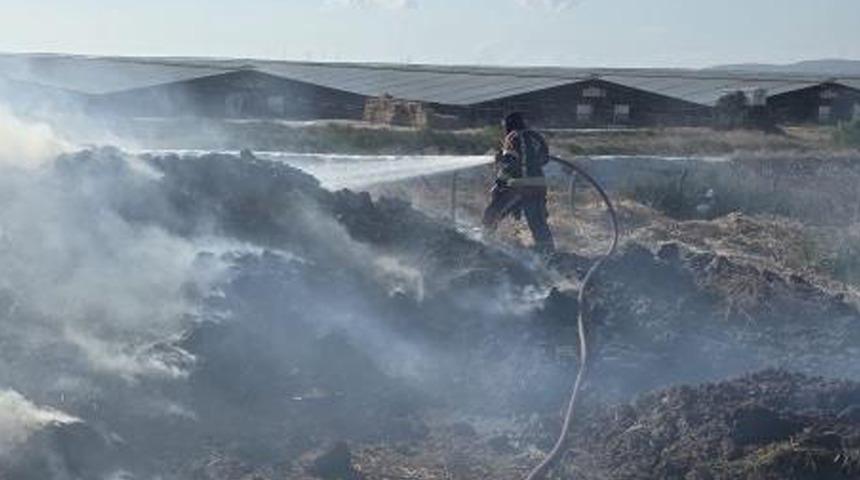 Bandırma'da besi &ccedil;iftliği yakınında otluk alanda yangın