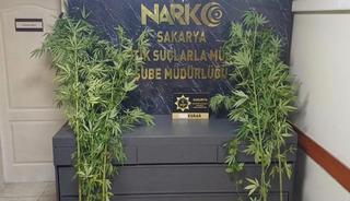 Sakarya'da uyuşturucu operasyonu!