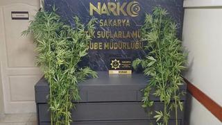 Sakarya'da uyuşturucu operasyonu!