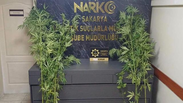 Sakarya'da uyuşturucu operasyonu!