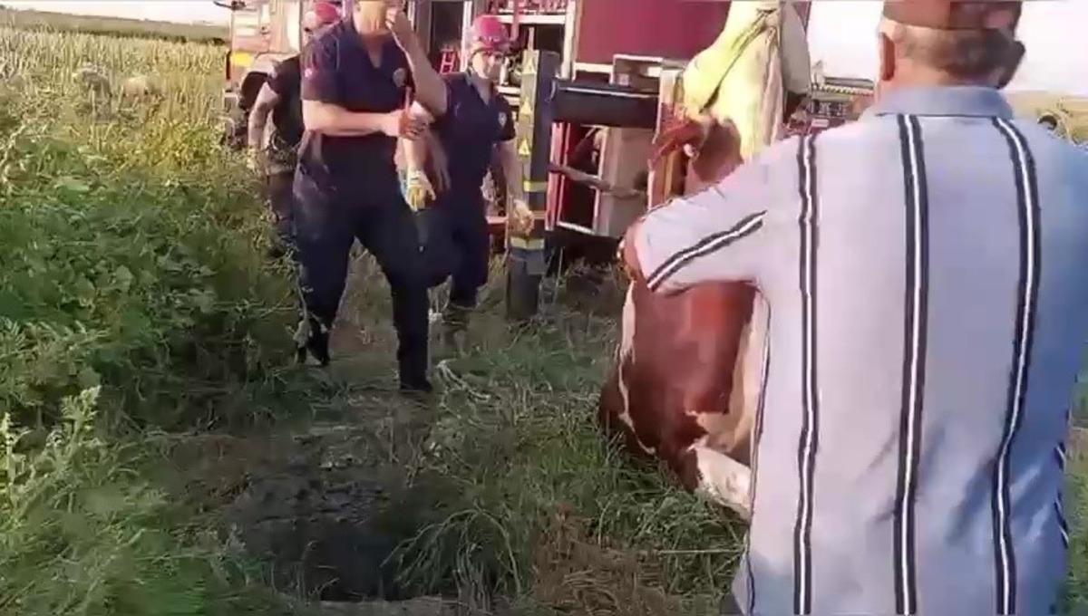 Kuyuya düşen ineği itfaiye kurtardı, sahibi ekiplere sarılıp gözyaşı döktü 2
