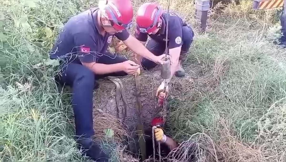 Kuyuya düşen ineği itfaiye kurtardı, sahibi ekiplere sarılıp gözyaşı döktü 3