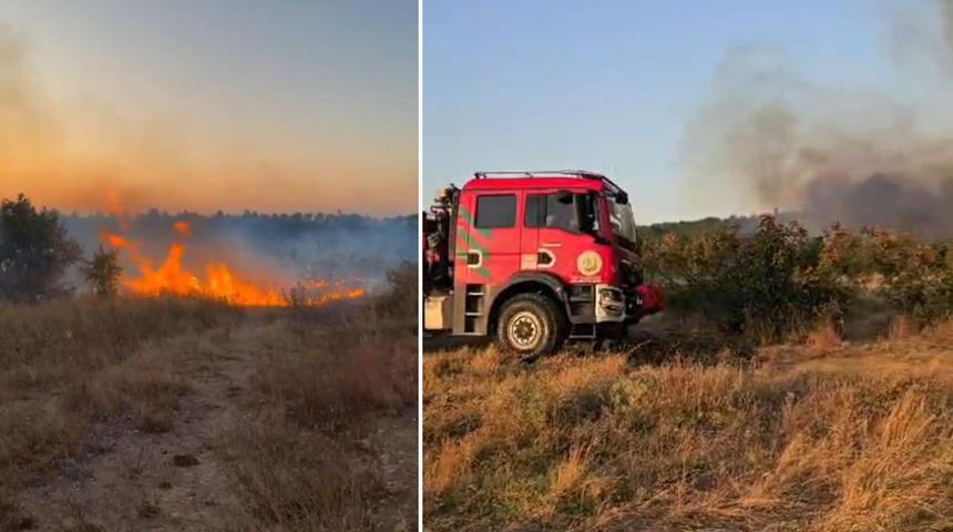 Meri&ccedil;'teki yangın r&uuml;zgarın etkisiyle yayılıyor