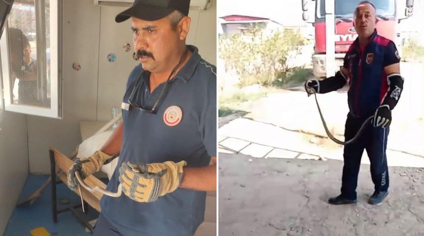 Hatay'da yerleşim yerlerine giren yılanlar yakalandı