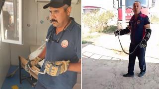 Hatay'da yerleşim yerlerine giren yılanlar yakalandı