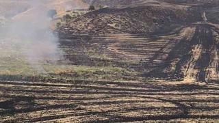 Siirt’te anız yangını meyve bahçesine sıçradı, 100 ağaç zarar gördü