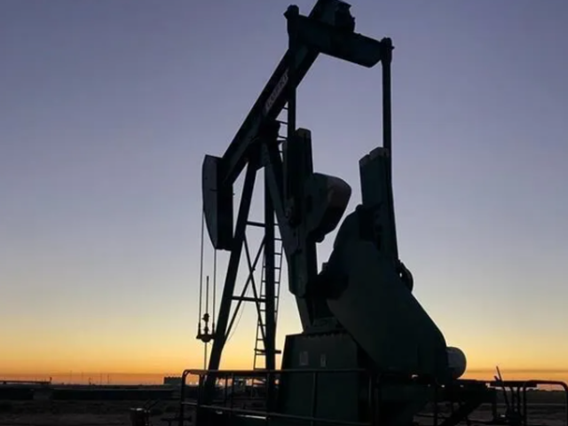 Yılın ilk yarısında 23,1 milyon varil petrol &uuml;retildi