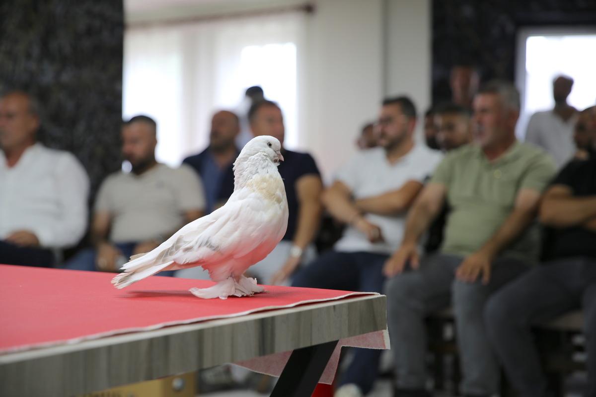 Değeri tam 5 milyon TL! Avrupa dan bilegörmeye geliyorlar 2