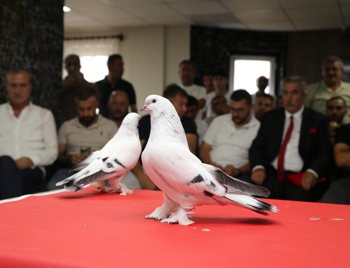 Değeri tam 5 milyon TL! Avrupa dan bilegörmeye geliyorlar 7
