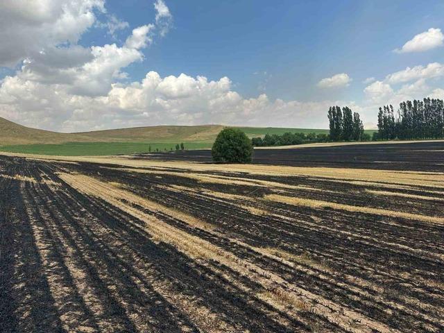 Bitlis’te örtü yangını: 400 dönüm alan küle döndü 5