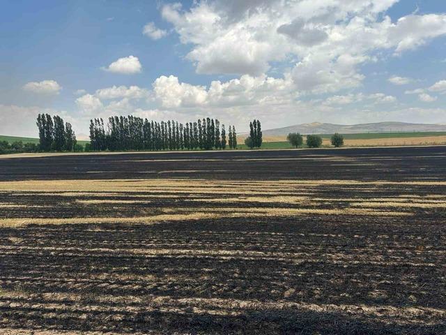 Bitlis’te örtü yangını: 400 dönüm alan küle döndü 4