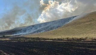 Bitlis&rsquo;te &ouml;rt&uuml; yangını: 400 d&ouml;n&uuml;m alan k&uuml;le d&ouml;nd&uuml;