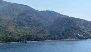 Marmaris&rsquo;teki orman yangını kontrol altına alındı