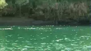 Şırnak’ta 4 kadının bindiği bot devrildi: 1 ölü