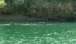 Şırnak&rsquo;ta 4 kadının bindiği bot devrildi: 1 &ouml;l&uuml;