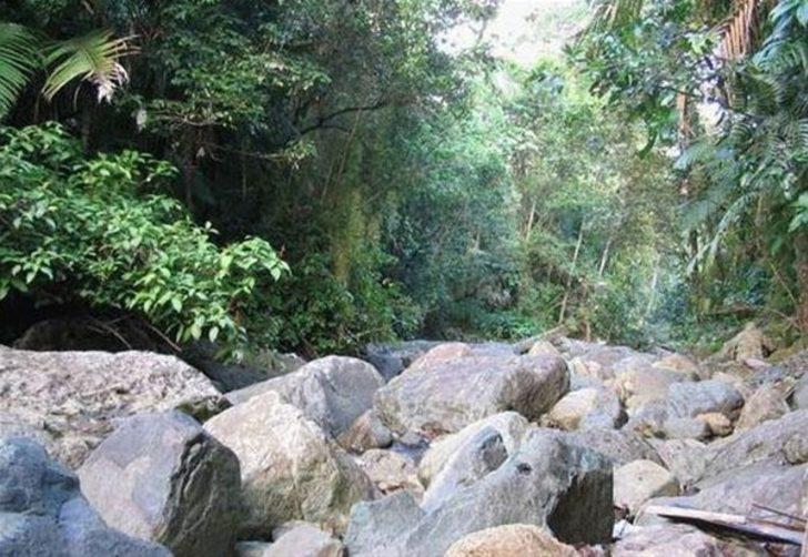 Onu görebildiniz mi?  G4