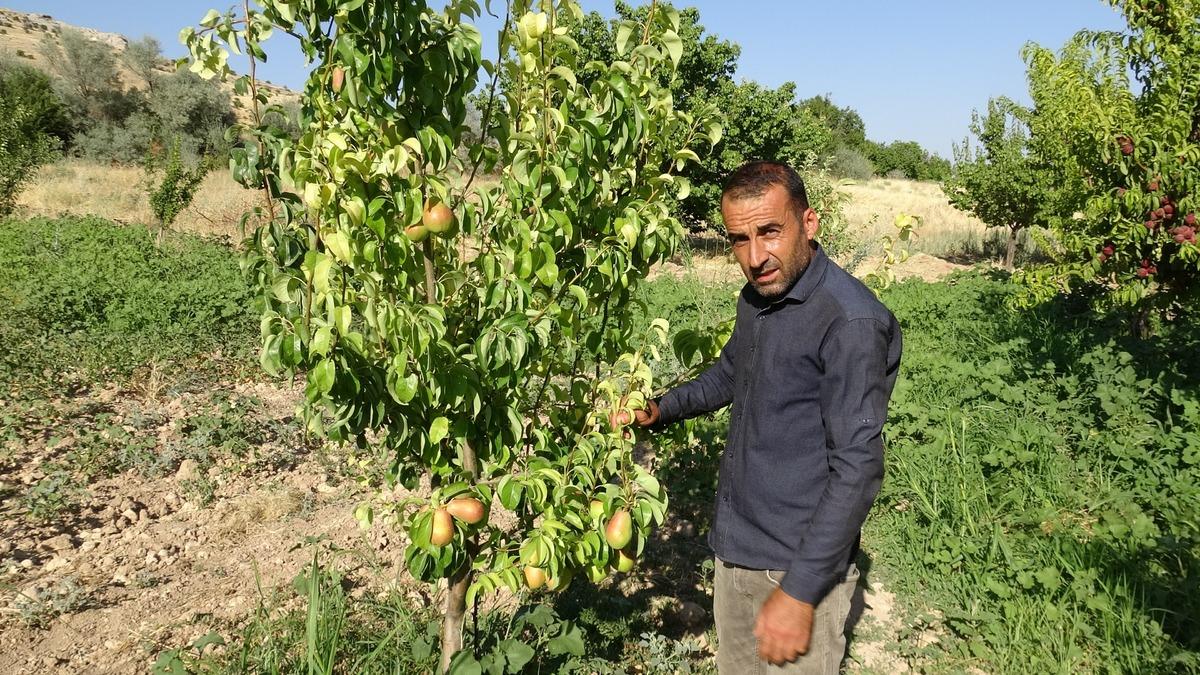 Ne varsa toprağında var: Denedi, başardı  Talebe yetişemiyoruz  3