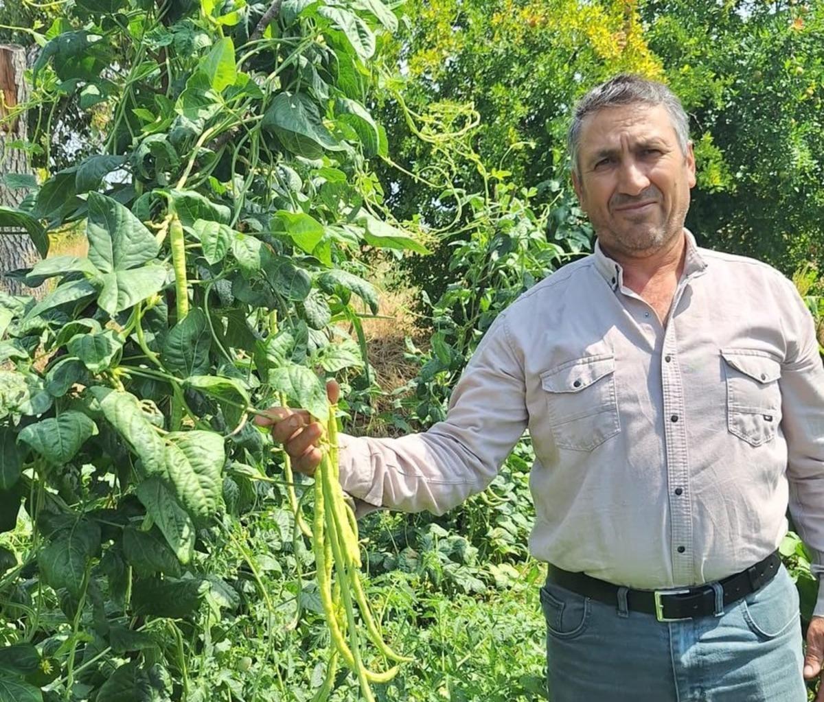 Günde 3-4 ton satılıyor! Kilosu 60 liraya kadar alıcı buluyor 2