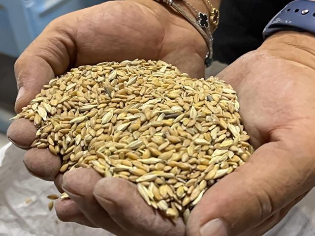 T&uuml;rkiye'de o ilimizde kilo kilo yetişiyor