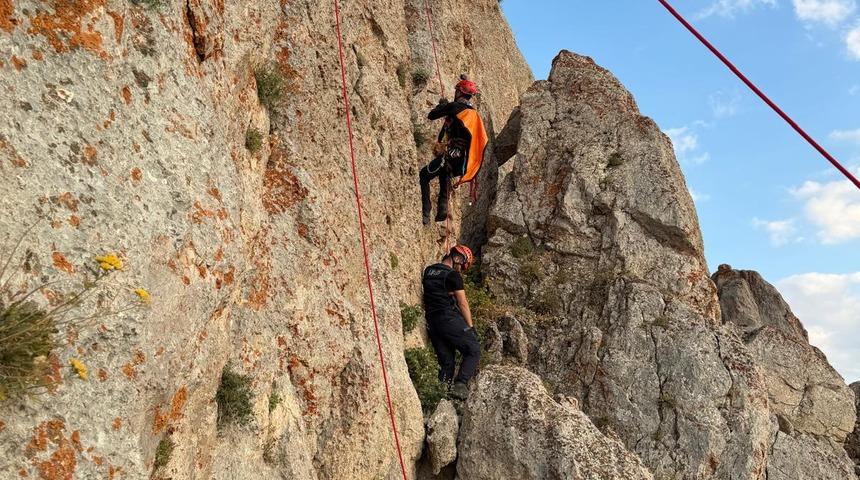 Şırnak'ta kayalıklarda mahsur kalan ke&ccedil;ileri AFAD ekipleri kurtardı
