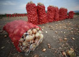 Haziran ayının zam şampiyonu kuru soğan