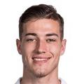 Luka Sucic