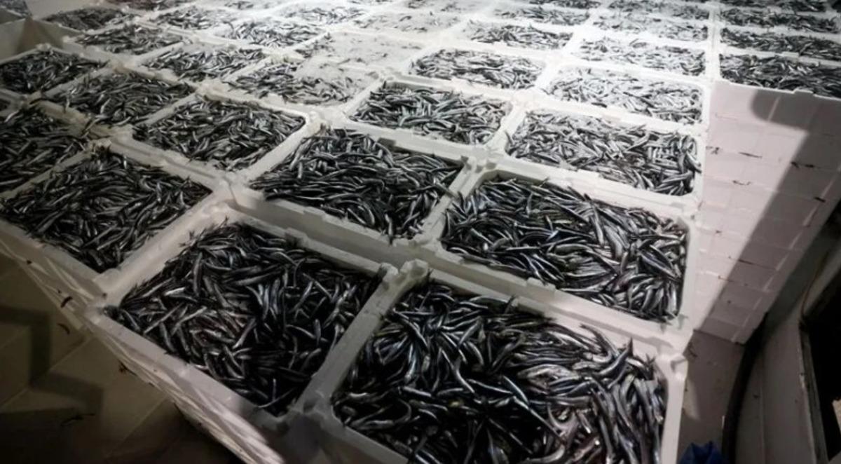 7 ayda 10,8 milyon dolar kazandı: 20 ülkeye satıldı 2